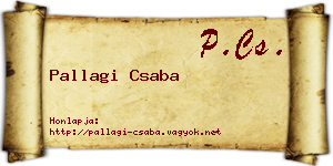 Pallagi Csaba névjegykártya